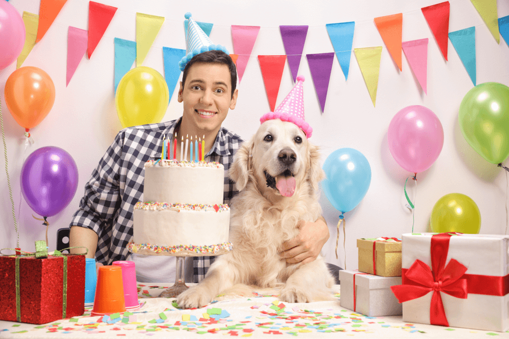 Fotos de cumpleaños para perros